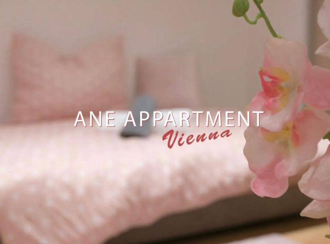 Ane Apartment Viena Exterior foto